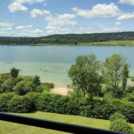 Duplex Le Reflet Du Lac Malbuisson Luaran gambar